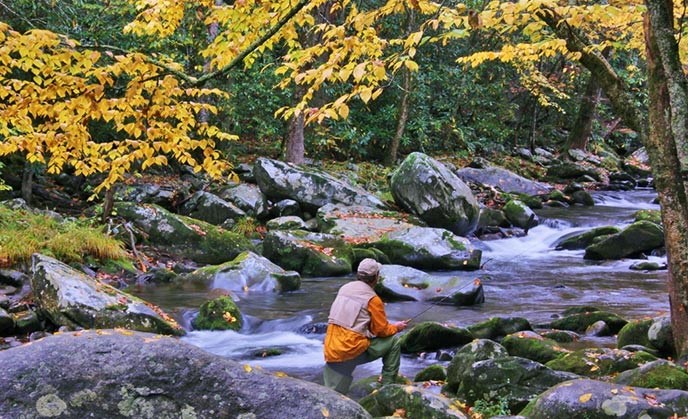 The Smoky Mountains are known for their native brook and brown trout, and Gatlinburg and the National Park have over 2,800 miles of rivers and streams that are just waiting for you to cast your line. Beginning...