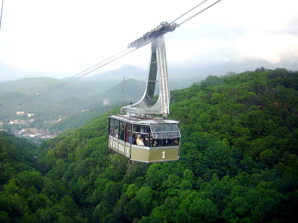 Ripley’s Aquarium of the Smokies: Explore the lush and unique worlds of the Tropical Rainforest and Ocean Realm, Nature's Kaleidoscope in Coral Reef, the Best Shark Exhibit in the Most Spectacular Underwater Tunnel in Shark...