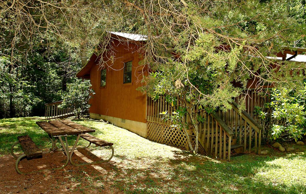 Dad’s Fishing Hole on Cosby Creek Cosby Creek Cabins
